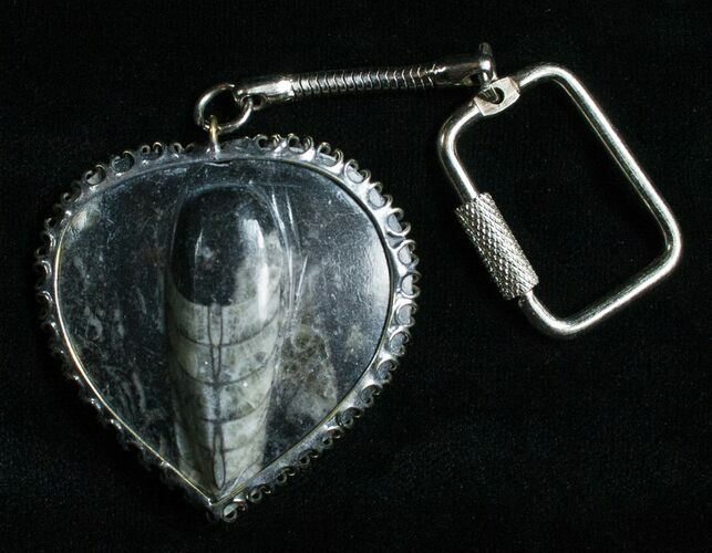 Brown Fossil Orthoceras Heart Keychain #4797
